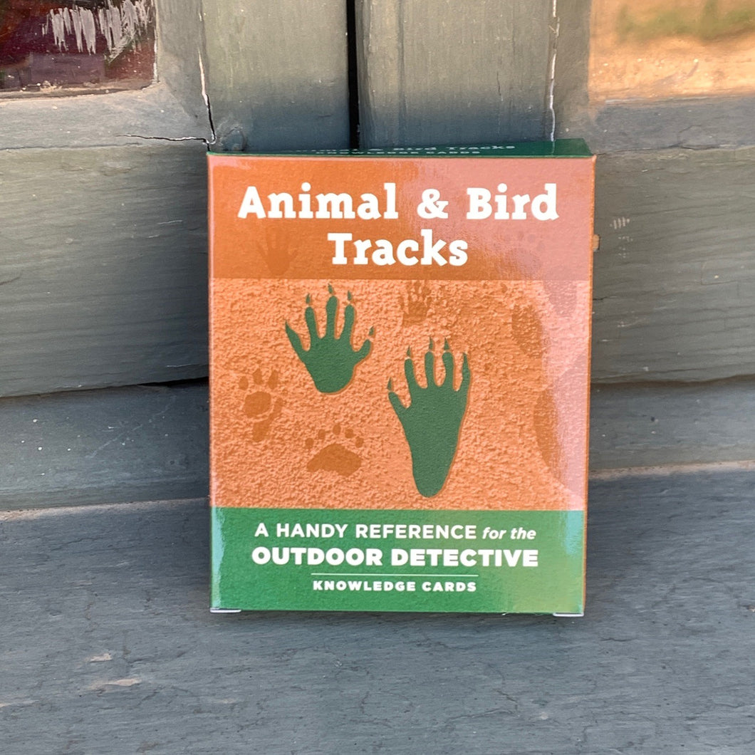 Animal & Bird Tracks cards