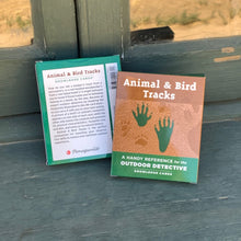 Animal & Bird Tracks cards